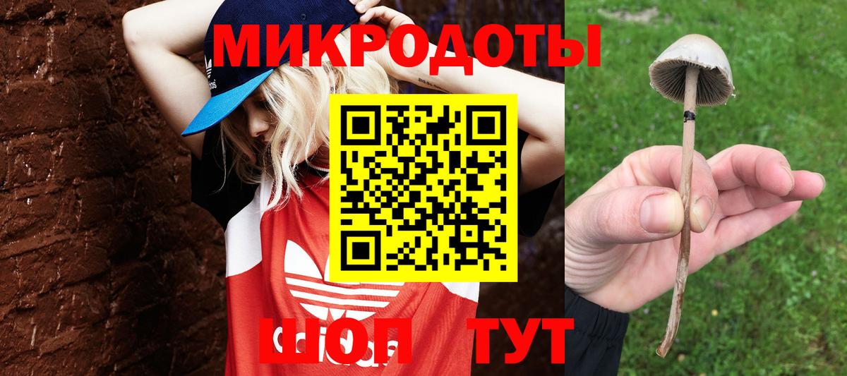 Псилоцибиновые грибы Psilocybe Шумерля